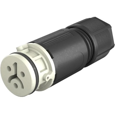 Wieland 2-Pole RST 08i2/3 Series Cable Circular Connector Female Screw Termination 8A, 120/50V, IP66/IP68/IP69 41.021.3041.8
