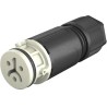 Wieland 2-Pole RST 08i2/3 Series Cable Circular Connector Female Screw Termination 8A, 120/50V, IP66/IP68/IP69 41.021.3041.8