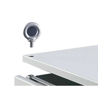 Rittal Steel Eye Bolt M12 Thread for VX, TS and SE Series Enclosures 4568000