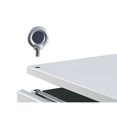 Rittal Steel Eye Bolt M12 Thread for VX, TS and SE Series Enclosures 4568000