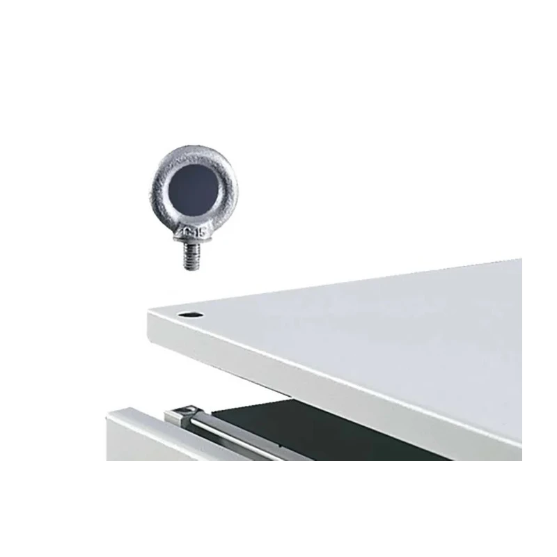 Rittal Steel Eye Bolt M12 Thread for VX, TS and SE Series Enclosures 4568000