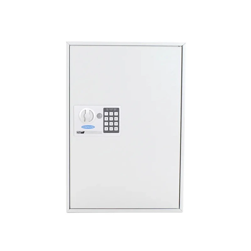 Rottner Comsafe Grey Steel Wall Mount Key Cabinet 300 Key Capacity T06025