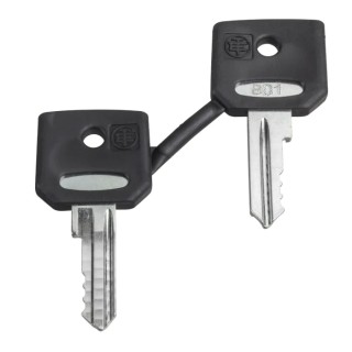 Schneider Electric Key Switch Key for XB4/XB5 Emergency Button Set of 2 ZBG520E