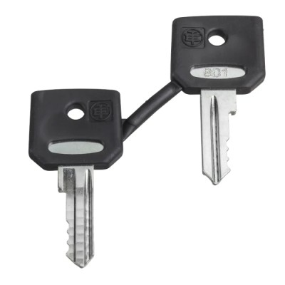 Schneider Electric Key Switch Key for XB4/XB5 Emergency Button Set of 2 ZBG520E