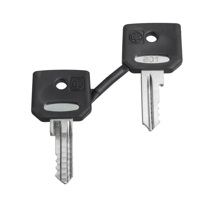 Schneider Electric Key Switch Key for XB4/XB5 Emergency Button Set of 2 ZBG520E