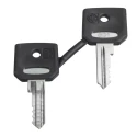 Schneider Electric Key Switch Key for XB4/XB5 Emergency Button Set of 2 ZBG520E