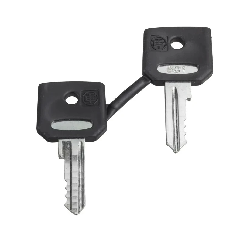 Schneider Electric Key Switch Key for XB4/XB5 Emergency Button Set of 2 ZBG520E