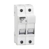 Lovato Electric 32A 690V AC Rail Mount Fuse Holder for 10 x 38 mm Fuse, 2-Pole, Model FB01F2P