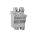 Lovato Electric 100A Base Mount Fuse Holder, 2P-Pole for 22 x 58 mm, 690V ac FB03A2P