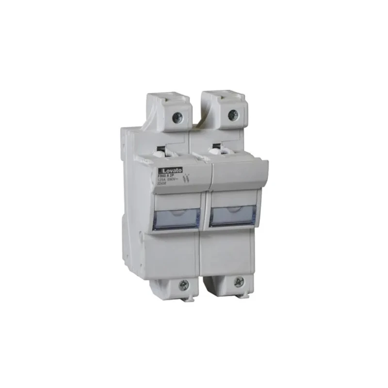 Lovato Electric 100A Base Mount Fuse Holder, 2P-Pole for 22 x 58 mm, 690V ac FB03A2P