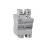 Lovato Electric 100A Base Mount Fuse Holder, 2P-Pole for 22 x 58 mm, 690V ac FB03A2P