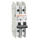 Lovato Electric Miniature Circuit Breaker 2-Pole 50A Type C 400V AC 60V DC 10 kA Breaking Capacity P1MB