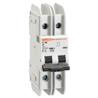 Lovato Electric Miniature Circuit Breaker 2-Pole 50A Type C 400V AC 60V DC 10 kA Breaking Capacity P1MB