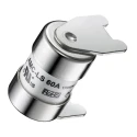 RS PRO 60A Ceramic Cartridge Fuse 15 x 22 mm, 170V Voltage, Ceramic Body 188-4498