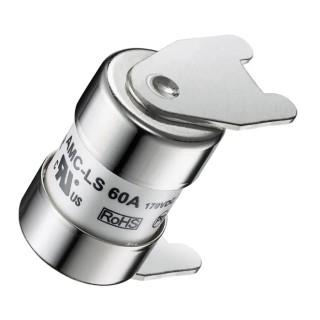 RS PRO 60A Ceramic Cartridge Fuse 15 x 22 mm, 170V Voltage, Ceramic Body 188-4498