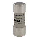 Mersen 16A GG Ceramic Cartridge Fuse 690V AC 22 x 58 mm S201818 / FR22GG69V16