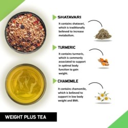 teacurry-weight-gain-tea-1-month-pack-30-tea-bags-weight-plus-tea-increase-weight-and-mass-for-both-men-women-32769-2