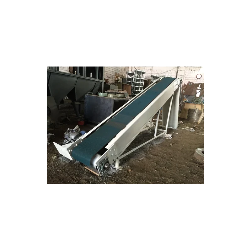 mini-belt-conveyors-capacity-100-kg-39136