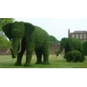green-decor-garden-topiary-for-decoration-wild-animals-frame-39169
