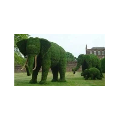 green-decor-garden-topiary-for-decoration-wild-animals-frame-39169