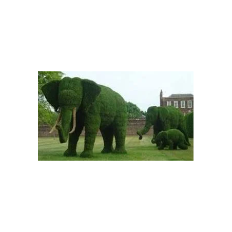 green-decor-garden-topiary-for-decoration-wild-animals-frame-39169