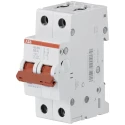 ABB Miniature Circuit Breaker 2-Pole 40A 462V AC 131V DC Screw Terminals DIN Rail Mount SD200 SD200