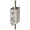 Siemens 125A NH Fuse NH0 500V ac 3NA3032