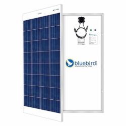 bluebird-150-watt-12-volt-polycrystalline-solar-panel-33083