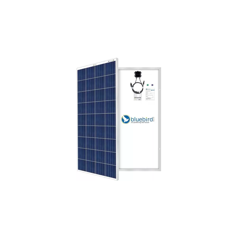 bluebird-165-watt-12-volt-polycrystalline-solar-panel-33084