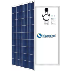 bluebird-165-watt-12-volt-polycrystalline-solar-panel-33084