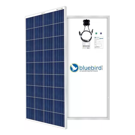 bluebird-165-watt-12-volt-polycrystalline-solar-panel-33084