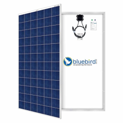 bluebird-300-watt-24-volt-polycrystalline-solar-panel-33088