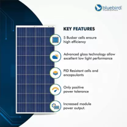 bluebird-165-watt-12-volt-polycrystalline-solar-panel-33084-3