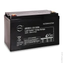 ENIX Energies Standard Sealed Lead Acid Battery 12 V, 100 Ah, 172mm x 220 mm AMC9012