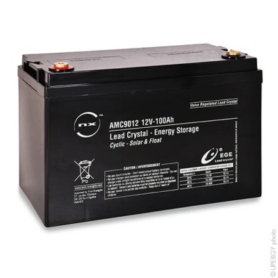 ENIX Energies Standard Sealed Lead Acid Battery 12 V, 100 Ah, 172mm x 220 mm AMC9012