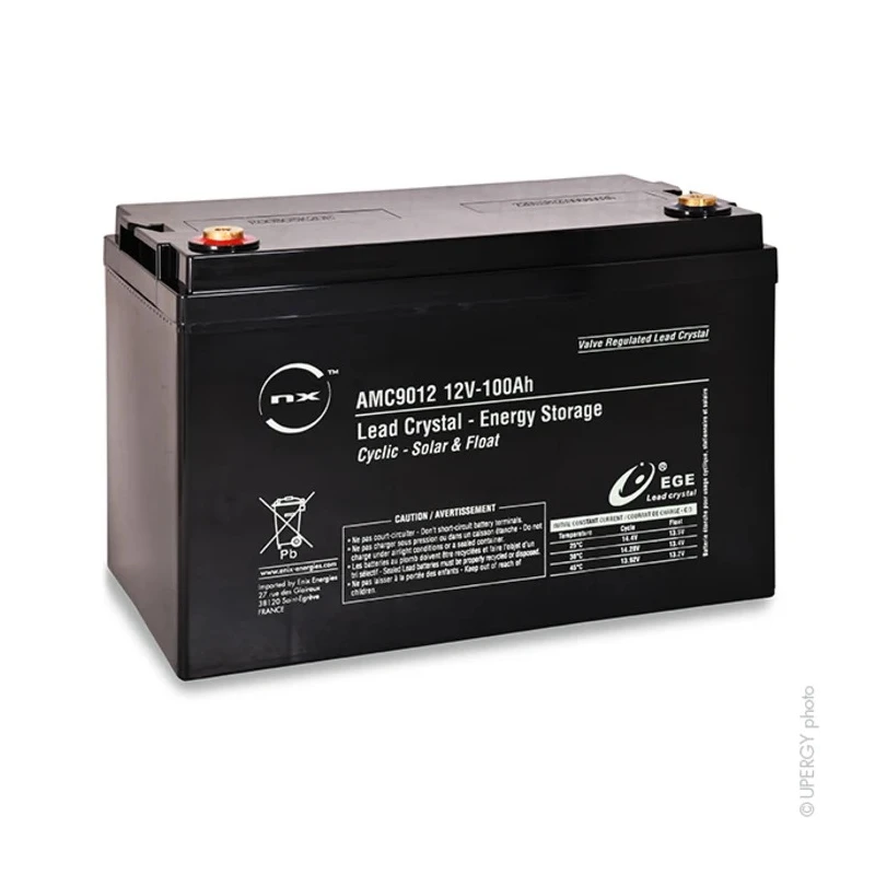 ENIX Energies Standard Sealed Lead Acid Battery 12 V, 100 Ah, 172mm x 220 mm AMC9012