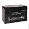 ENIX Energies Standard Sealed Lead Acid Battery 12 V, 100 Ah, 172mm x 220 mm AMC9012