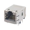 Molex RJ45 Connector Female Panel Mount Shielded Right Angle 2 Port 8 Way