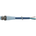 Murrelektronik Limited Female 4 Way Straight to Unterminated Sensor Actuator Cable 1.5 m 7024-12021-3210150