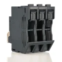 Schneider Electric 32A Rail Mount Fuse Holder, 2P-Pole, 690V ac DF102V