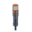 Lumberg Automation Female 3 Way Straight to Unterminated Sensor Actuator Cable 10 m 60V RKMV Series 43566 RKMV 3-224/10 M