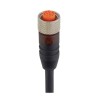 Lumberg Automation Female 12 Way Straight to Unterminated Sensor Actuator Cable, 10 m, Polyurethane 104142 RKT 12-346/10 M