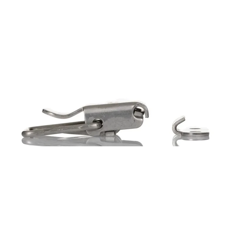 RS PRO Stainless Steel Draw Latch 50 mm Length 22 mm Width 12 mm Depth 245N Operating Tension 197-4126