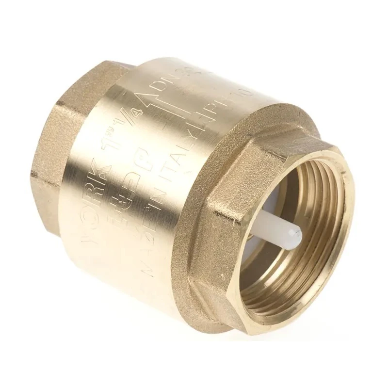 RS PRO Brass Threaded G Single Check Valve 1 to 1/4 in, 10 bar 486-160