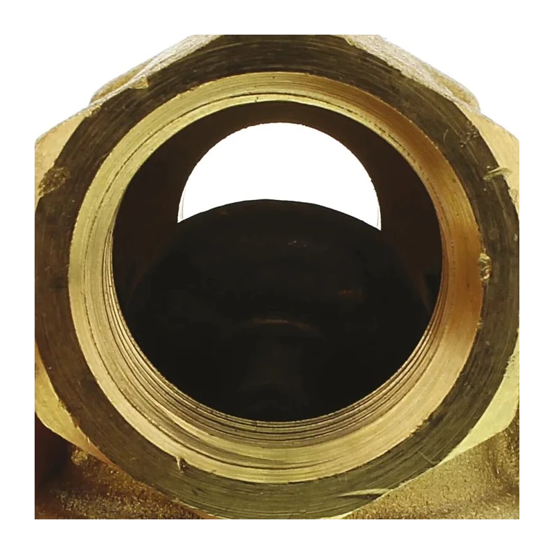 RS PRO Brass Threaded BSP Single Check Valve 1/2 in, 16 bar 486-209