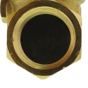 RS PRO Brass Threaded BSP Single Check Valve 1/2 in, 16 bar 486-209