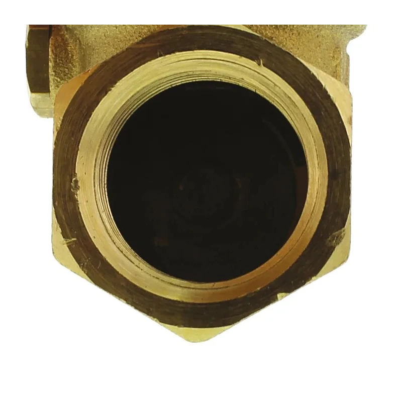 RS PRO Brass Threaded BSP Single Check Valve 1/2 in, 16 bar 486-209