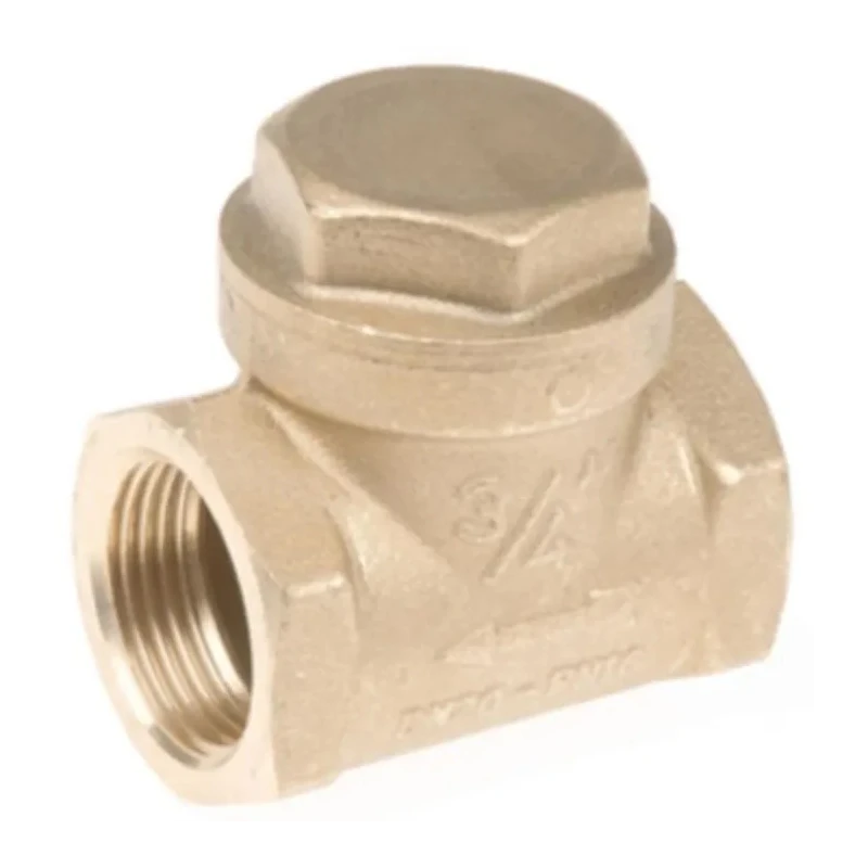 RS PRO Brass Threaded BSP Single Check Valve 3/4 in, 16 bar 486-215