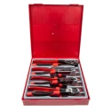 Teng Tools 8-Piece Plier Set with Water Pump, Long Nose, Combination, and Side Cutter Pliers TTD441-T