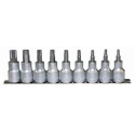 Teng Tools 9-Piece 1/2 in Drive Bit Socket Set Chrome Vanadium Steel Satin Finish M1213TPX